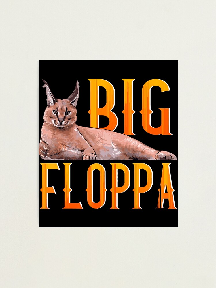 The Story Behind BIG FLOPPA, The Cutest Caracal 