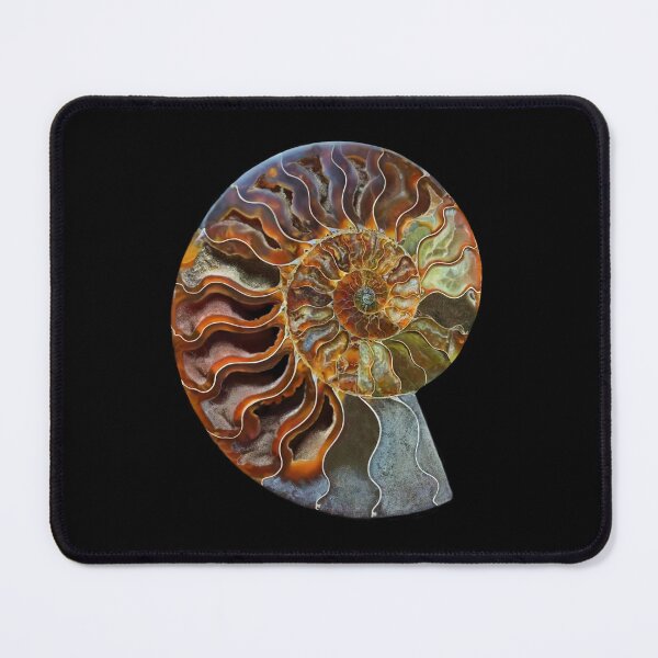 Item preview, The past in the present sets up the future  designed and sold by farqty.