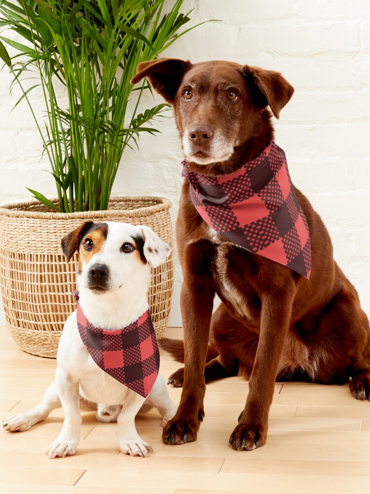 Red and black store plaid dog bandana