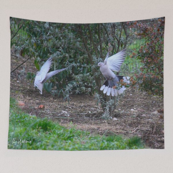 Item preview, Game of doves designed and sold by AHELENE.