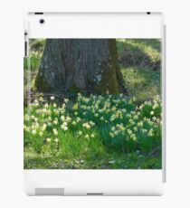 SPRING HAS SPRUNG iPad Case/Skin