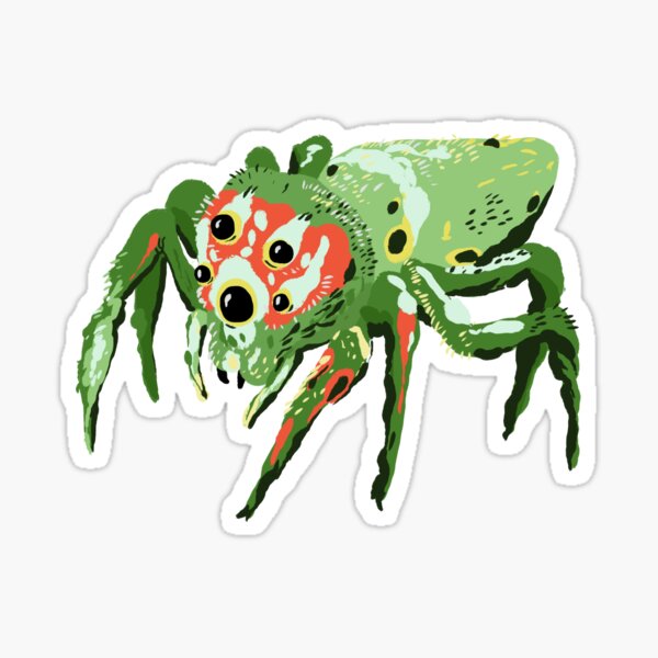 Jumping Spider Sticker