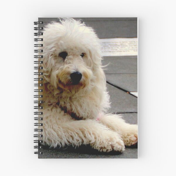 Item preview, See My New Paw-dicure? designed and sold by Michael May.