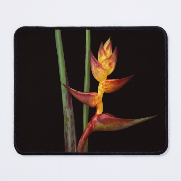 Item preview, Splash heliconia designed and sold by farqty.