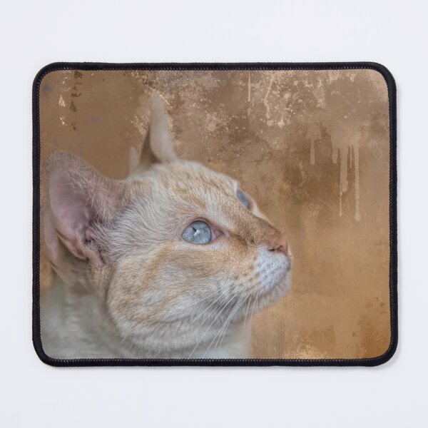 Item preview, Delightful Siamese Cat One designed and sold by Elisabeth Lucas.