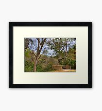 Ravine Gardens State Park Rest Stop Framed Print