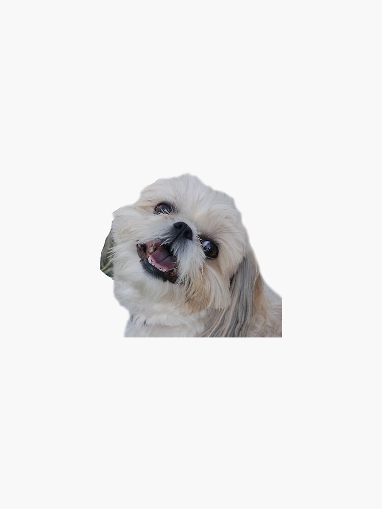 Imagen 3 de 3, Pegatina con la obra Shih Tzu, diseñada y vendida por lindseymorrison.