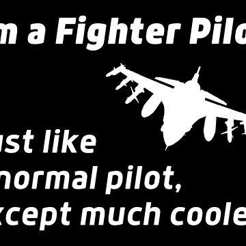 Fighter Pilot Funny Job Definition T-Shirt