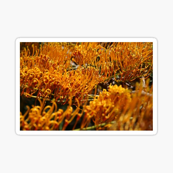 Item preview, Autumn Foliage 2 designed and sold by Honey Myrtle Studio.