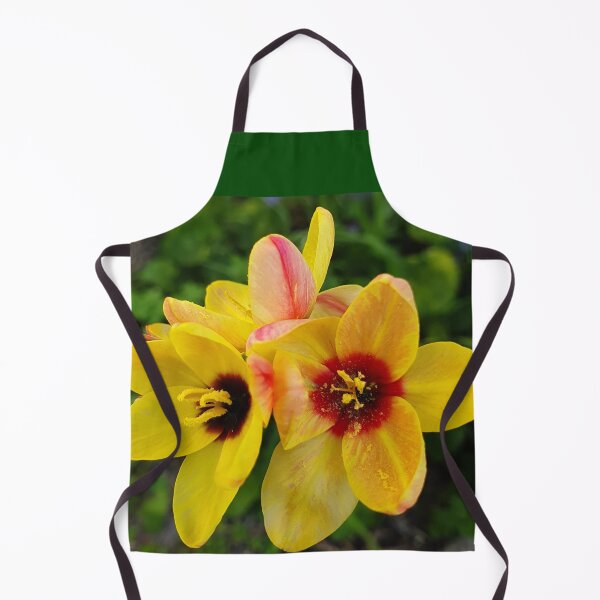 Item preview, Spring Flowers designed and sold by Honey Myrtle Studio.
