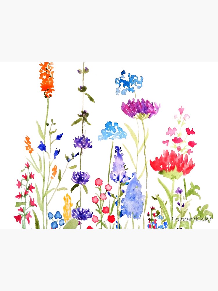 Disover Colorful wild flowers watercolor - Pet Bowls Mat