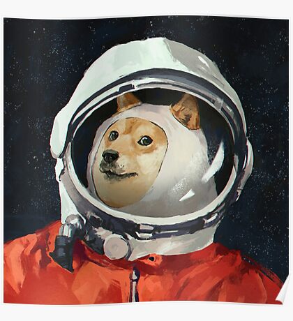 Space Doge: Posters | Redbubble