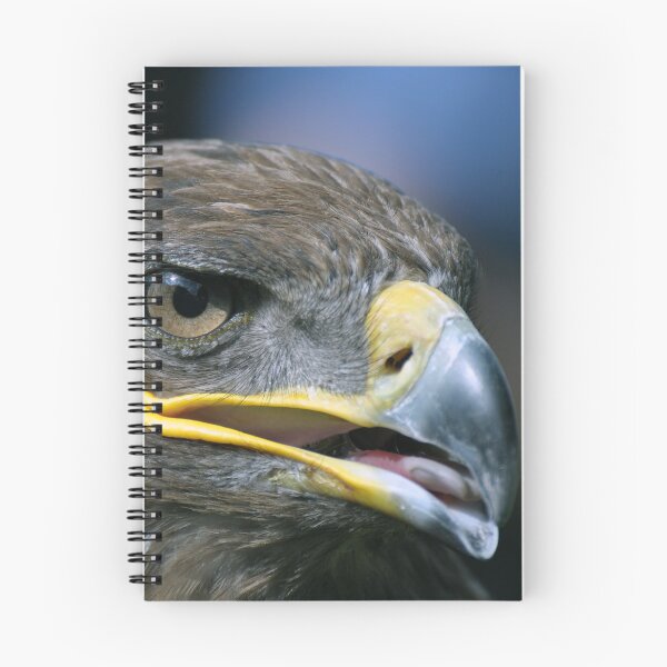 Item preview, Steppe Eagle designed and sold by Chris Monks.