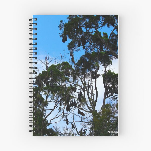 Item preview, Fruit bats in Hervey Bay designed and sold by AHELENE.