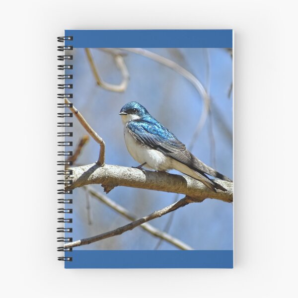 Item preview, Swallow This designed and sold by Lanis Rossi.