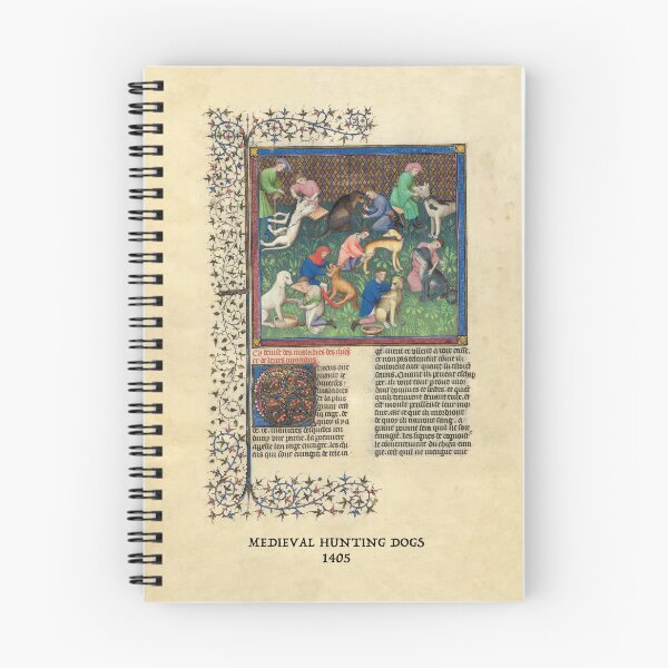 Item preview, Veterinary Care: Medieval Style 1405 designed and sold by ebrawne.