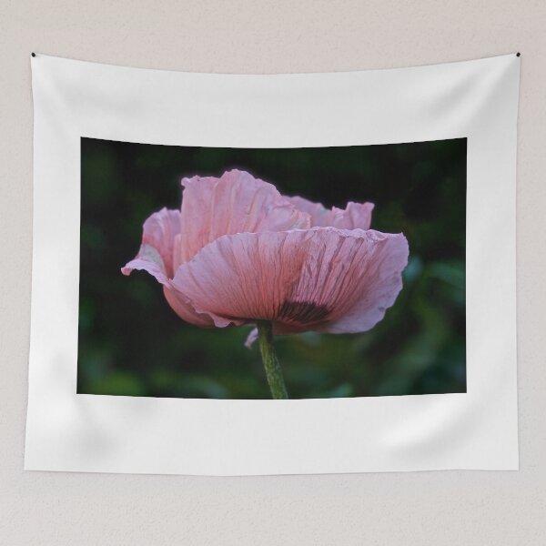 Item preview, Pink Poppy designed and sold by Hans Bax.