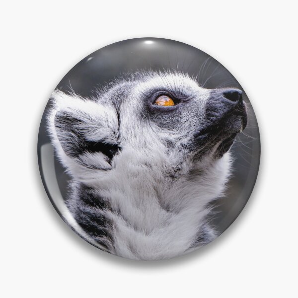 Item preview, Lemur designed and sold by photobytableau.