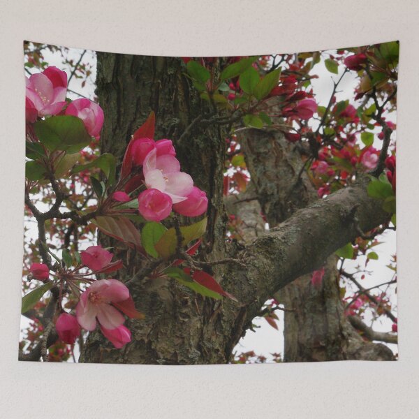 Item preview, Spring blossoms - Strawberry Parfait Crabapple designed and sold by rvjames.