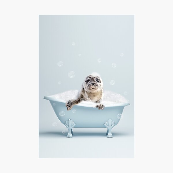 Artikel-Vorschau von Robbe in der Badewanne, Tierbaby in der Badewanne mit Blasen, Aufdruck für Kinderbadezimmer, blau, designt und verkauft von PinkJellyfishCo.