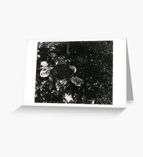 Forest Floor Greeting Card