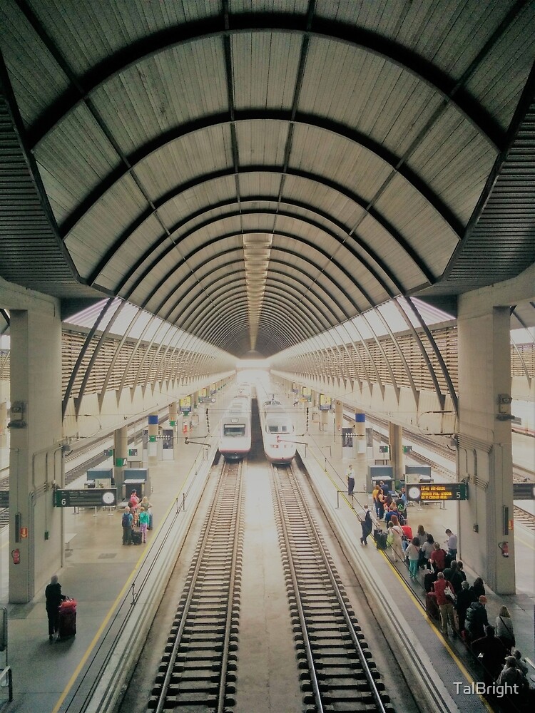 Seville Train station 2016 by TalBright