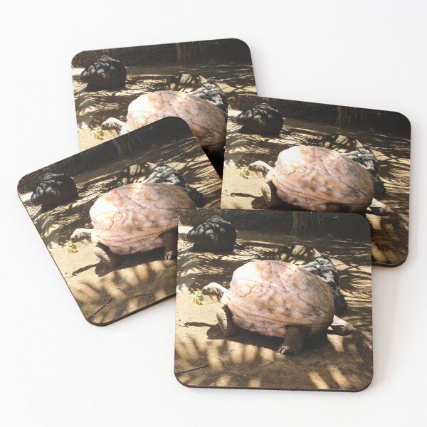 Item preview, walnut turtle designed and sold by pottolski.