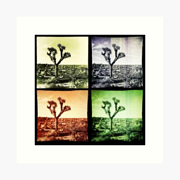 Item preview, Joshua Tree Quad designed and sold by Peter B Photography.