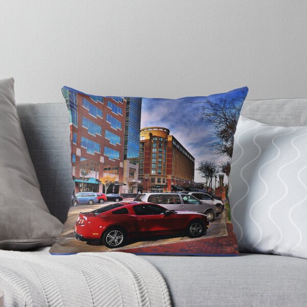 Item preview, Sugar Land, TX designed and sold by Savannah Gibbs.