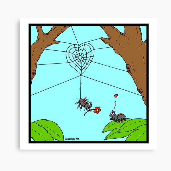 Spider Love Canvas Print