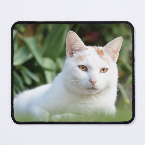 Item preview, Cat Arno Relax designed and sold by Lalingla.
