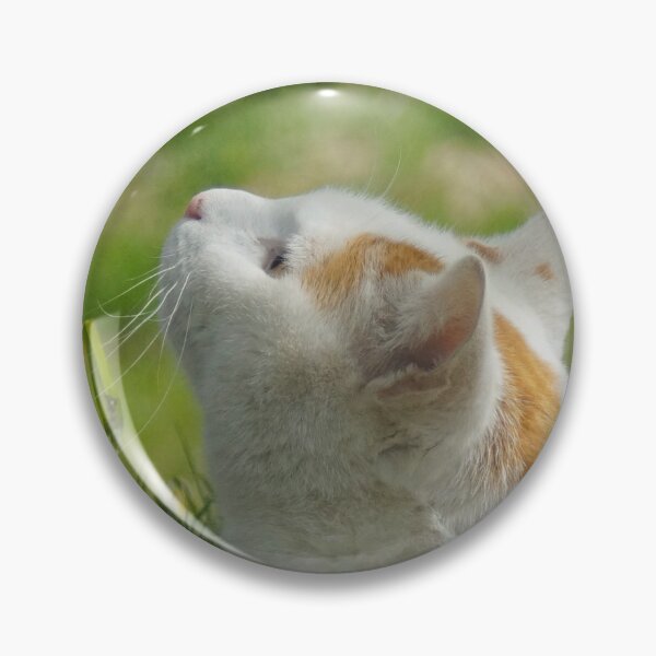 Item preview, Cat Picture Arno designed and sold by Lalingla.