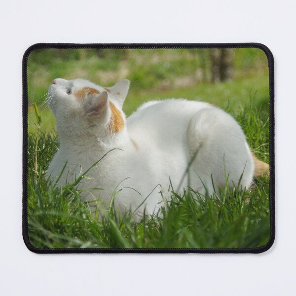 Item preview, Cat Picture Arno designed and sold by Lalingla.