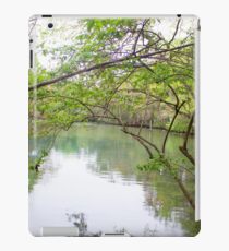 Homosassa Springs iPad Case/Skin