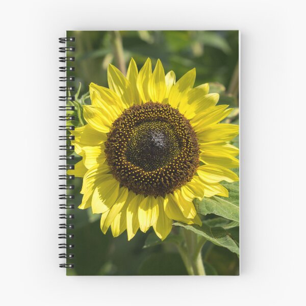 Item preview, One Sunshiny Sunflower - the Splendid National Flower of Ukraine designed and sold by Georgia Mizuleva.