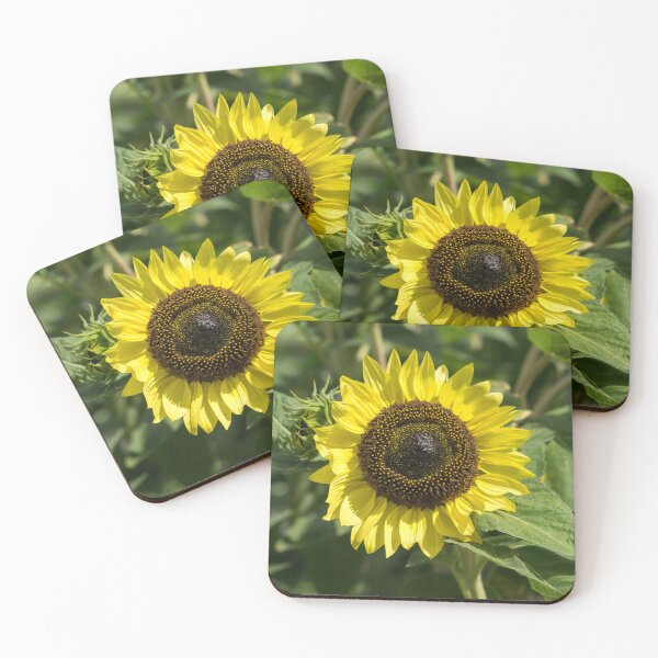 Item preview, One Sunshiny Sunflower - the Splendid National Flower of Ukraine designed and sold by Georgia Mizuleva.
