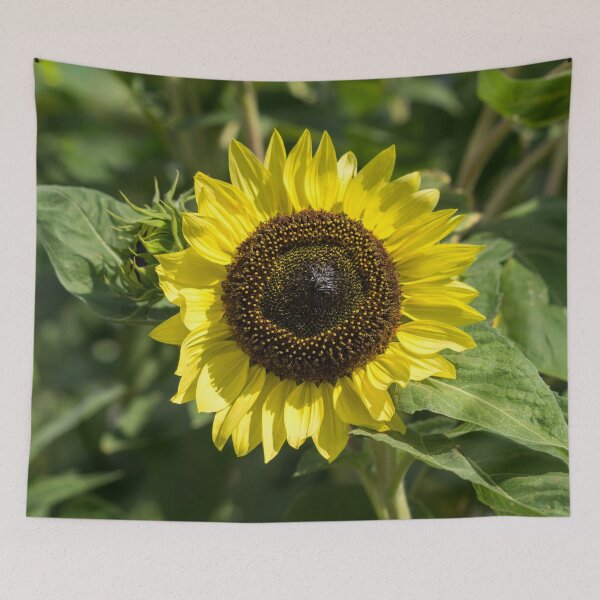 Item preview, One Sunshiny Sunflower - the Splendid National Flower of Ukraine designed and sold by Georgia Mizuleva.