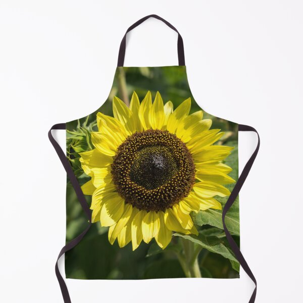 Item preview, One Sunshiny Sunflower - the Splendid National Flower of Ukraine designed and sold by Georgia Mizuleva.
