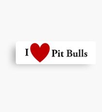 I Heart Pit Bulls Metal Print