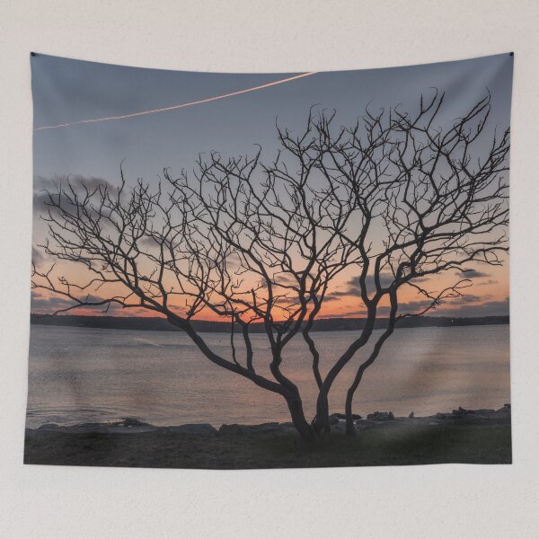 Item preview, Sunset tree Niles Beach designed and sold by Roger Porter Photography.
