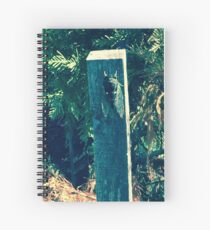 Cicada Art If you like, purchase, try a cellphone cover thanks! Spiral Notebook