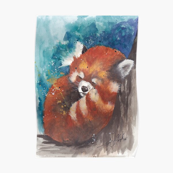 Red Panda Sleeping Poster