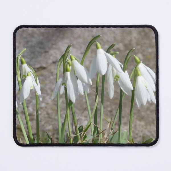 Item preview, Snowdrops designed and sold by mary02.