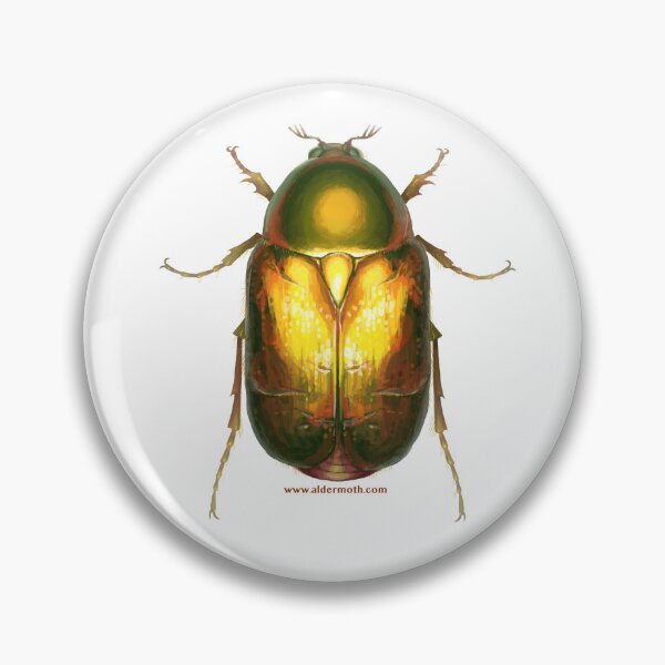 Item preview, Rose Chafer 2 designed and sold by Alder's Art Shop.
