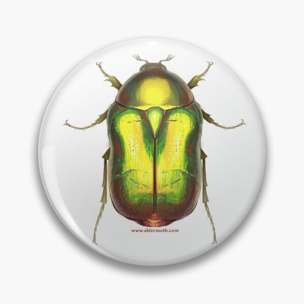 Item preview, Rose Chafer 1 designed and sold by Alder's Art Shop.