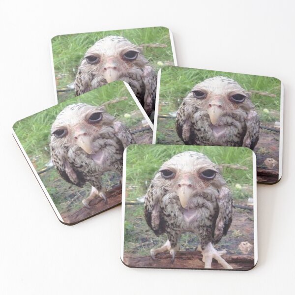 Item preview, wet lemont owl meme designed and sold by fabmemez  ⭐⭐⭐⭐⭐.