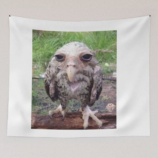 Item preview, wet lemont owl meme designed and sold by fabmemez  ⭐⭐⭐⭐⭐.