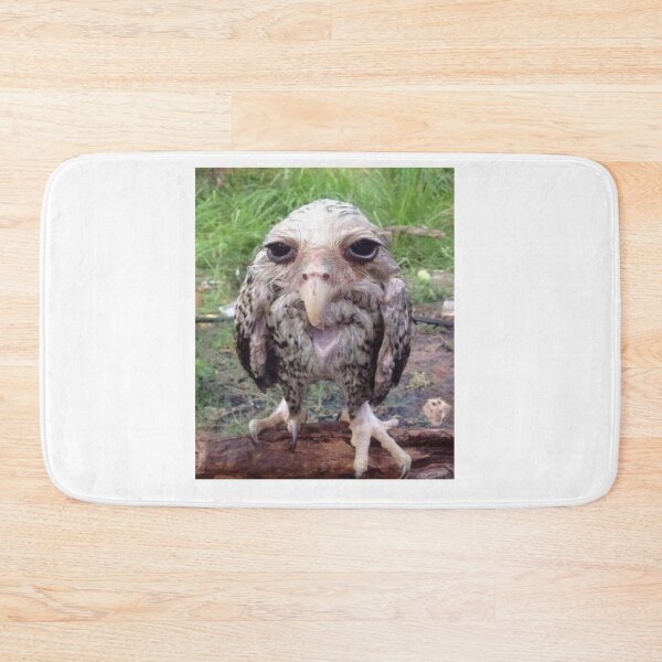 Item preview, wet lemont owl meme designed and sold by fabmemez  ⭐⭐⭐⭐⭐.