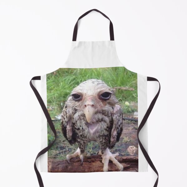 Item preview, wet lemont owl meme designed and sold by fabmemez ⭐⭐⭐⭐⭐.
