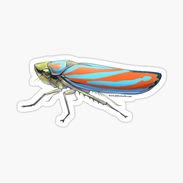 Candy-Striped Leafhopper Sticker